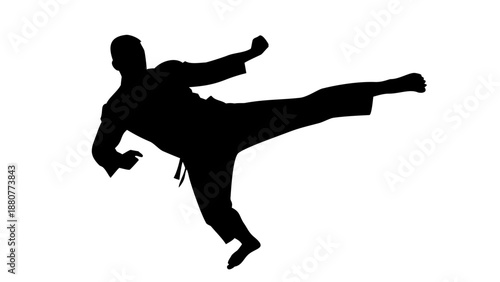 Dynamic silhouette of a karate master performing a high side kick, martial arts and self-defense training vector