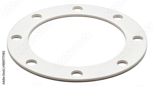 PTFE Teflon Gasket Isolated White Background Gigapixel Standard V2 4x