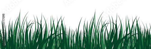 Green grass horizontal background, frame