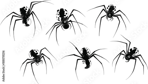 Stylized black spider illustration with white spots, insect silhouette, creepy crawly, Halloween theme, arachnid design, pest icon, flat vector