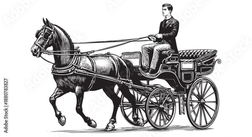 Detailed Black and White Drawing of a Horse Drawn Carriage with Driver	
