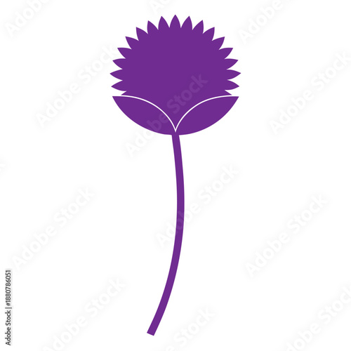 allium purple sensation silhouette on white background