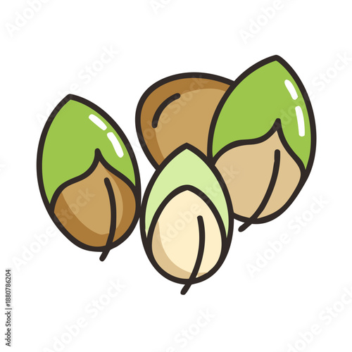 Set of tree nuts in a colorful graphic style isolated on a white background