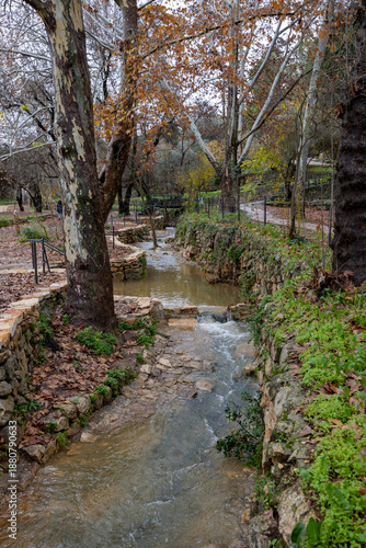 Wallpaper Mural footpath in the woods Torontodigital.ca