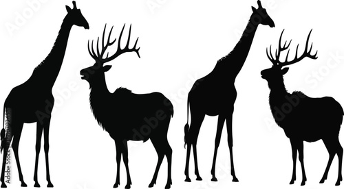 Giraffe and deer silhouettes vector set isolated on white background, wild animal shapes for safari, wildlife, nature, and logo design