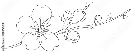 桜の線画イラスト