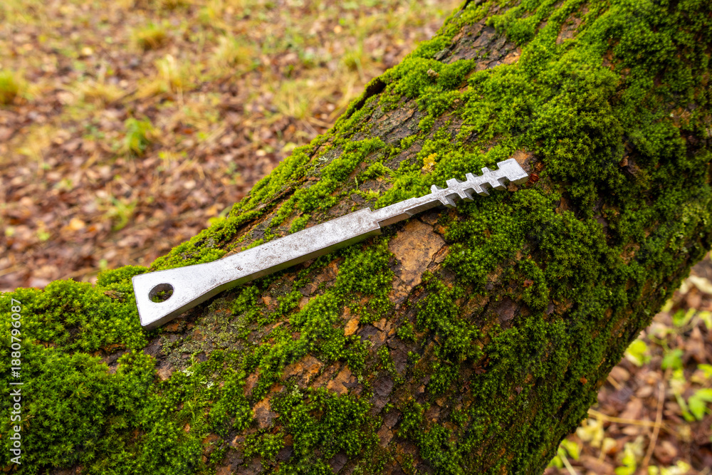 Obraz premium Metal key rests on moss-covered tree trunk. Forest floor with leaves and grass visible in background.