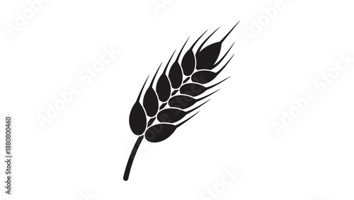 Black wheat ear or grain stalk, agriculture food symbol on isolated white background.