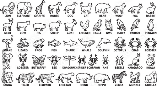 Photography Cute Hand Drawn Zoo Animals Icon Set (Black & White)