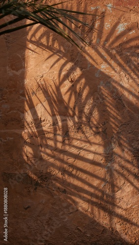 Shadows of a Palm Tree Cast on a Textured Terracotta Wall, Evoking Warmth and Serenity