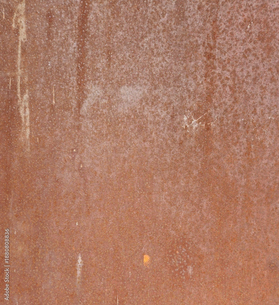 Fototapeta premium Rusty Metal Plate Weathered Texture