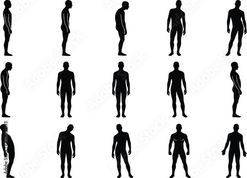 Male body silhouette collection, man standing front side back views, anatomy proportions posture study, human figure reference illustration vector