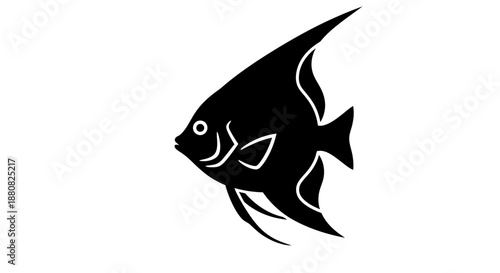 Black fish with white details swimming.