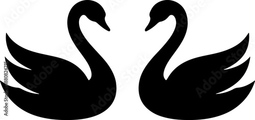 Pair of elegant black swans facing each other on transparent background