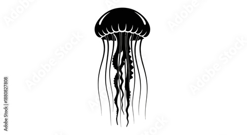 Black jellyfish with long tentacles swimming.