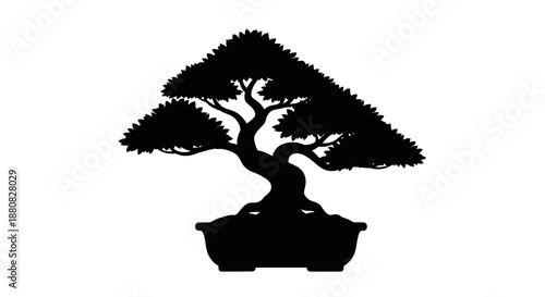 Bonsai tree in a pot.