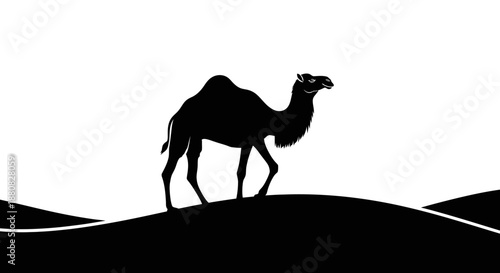 Camel standing on a dune.