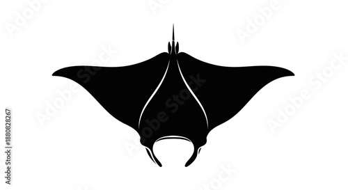 Large black manta ray swimming underwater.