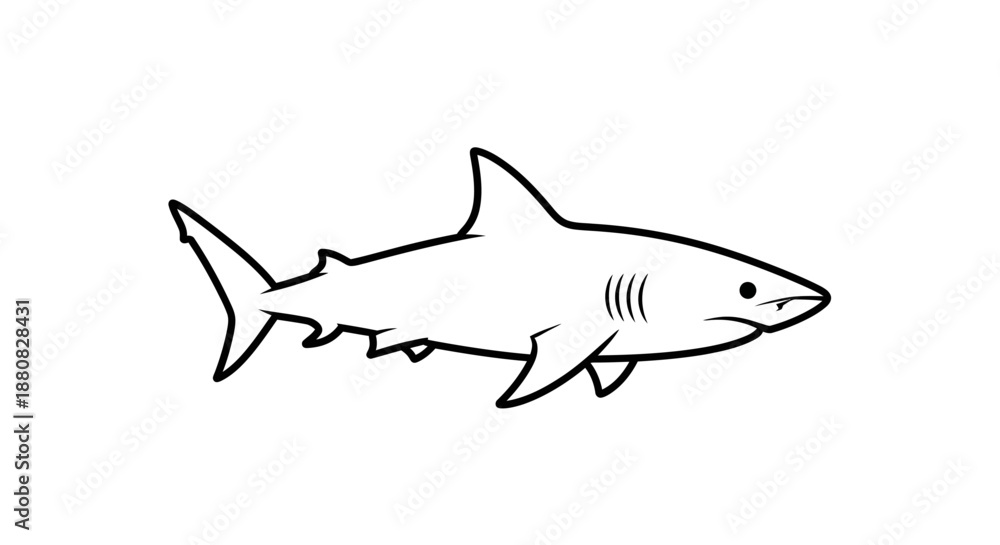Fototapeta premium Shark Drawing Line Art Illustration.