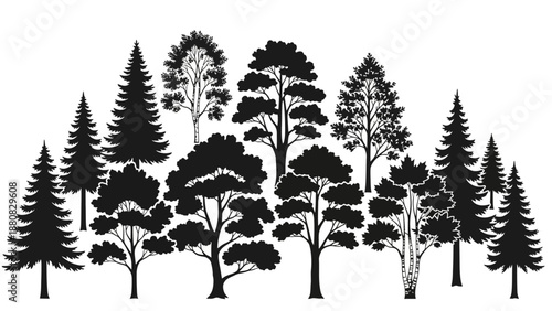 Collection of Various Tree Silhouettes Illustration.