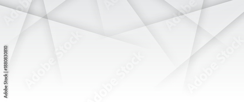 Abstract luxury geometric white and grey background with copy space. Vector illustration. overlapping background.