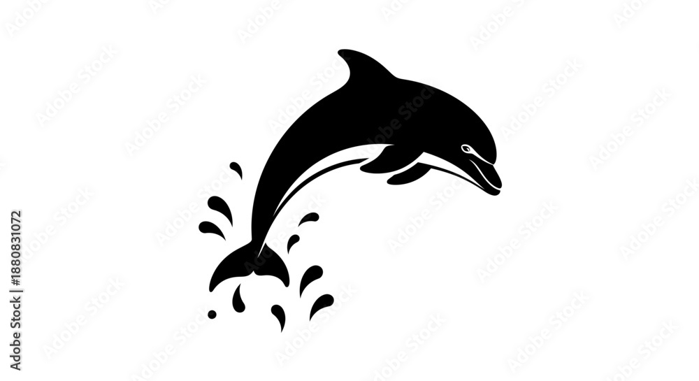 Fototapeta premium Black dolphin jumping out water.