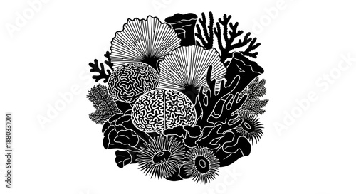 Black and white sea urchins and coral.