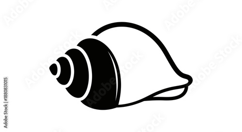 Black and white seashell illustration.