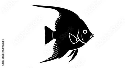 Black fish swimming in water.