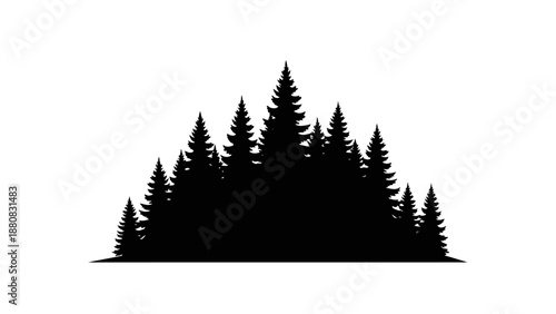 Group of Silhouetted Evergreen Trees Together.