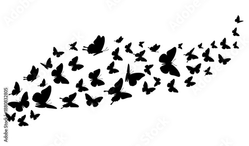 Decorative flying butterfly silhouette swarm vector set