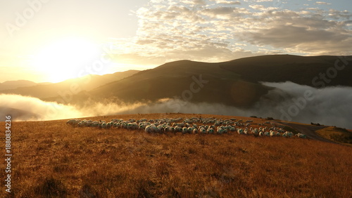 Foto sunrise in the mountains