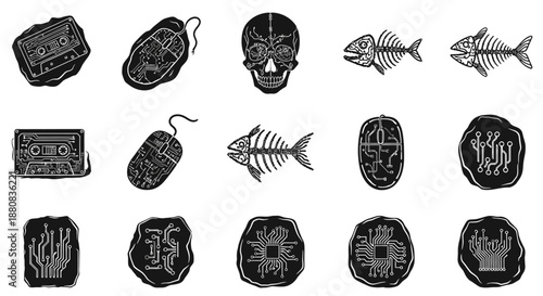 Collection of food fish bones plates.