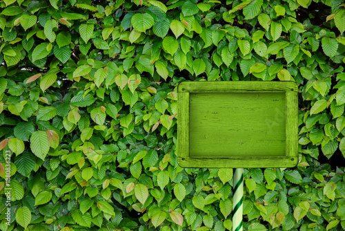 Grünes Holzschild vor einer Buchenhecke