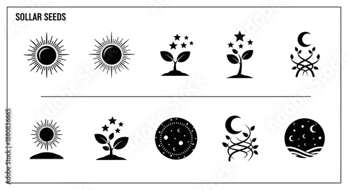 Solar seeds icons on white background.