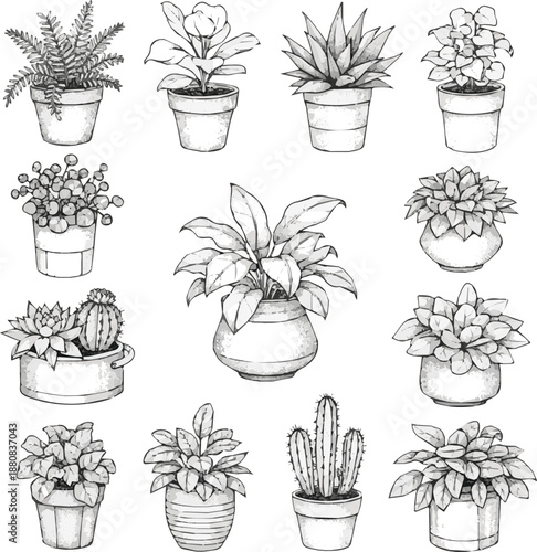 Generated a collection of black and white illustrations featuring plants and containers on a white background