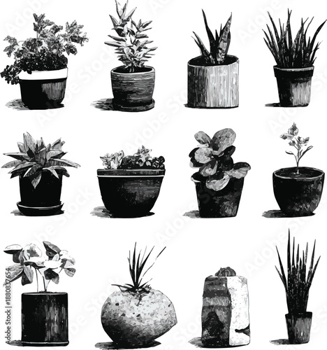 Generated a Set of black and white illustrations featuring plants and containers on a white background