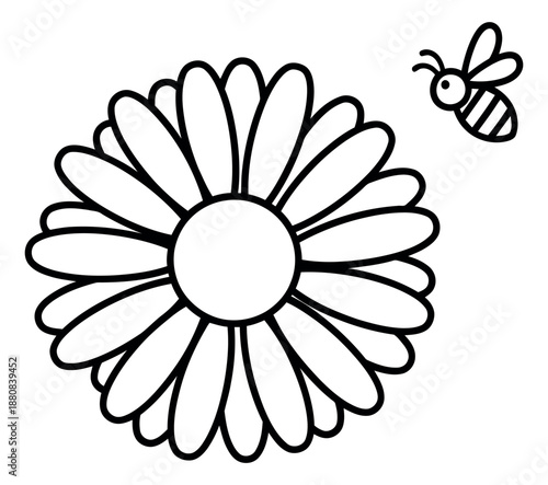 Hand drawn line art illustration of a daisy and a bee depicting an insect flying near the flower for spring designs