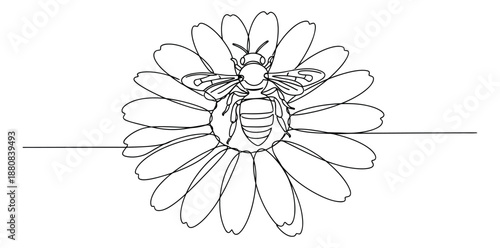 Continuous line art illustration of a bee on a flower depicting pollination for nature concepts