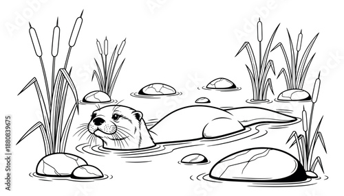 Line art illustration of an otter depicting swimming in a pond with reeds for nature themes