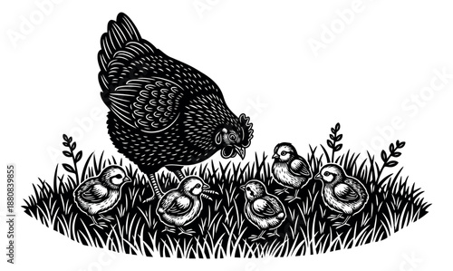 Woodcut style line art illustration of a hen and chicks depicting a family in grass for farm and nature themes