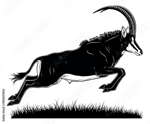 Stylized line art illustration of a sable antelope depicting it leaping over grass for wildlife design