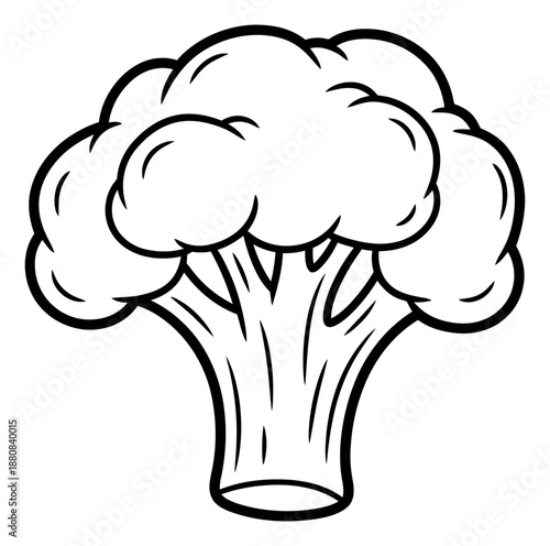 Bold line art illustration of broccoli depicting a fresh healthy vegetable for nutrition concepts