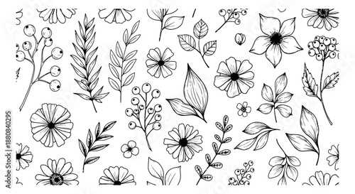 Hand drawn line art floral botanical set featuring flowers, leaves, and berries for nature-themed designs