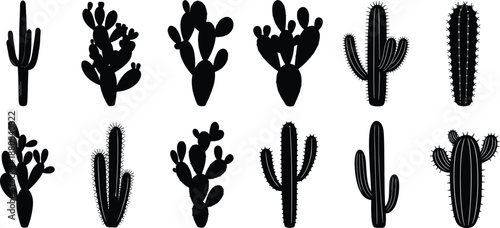 Silhouettes of twelve diverse cactus plants in black, showcasing unique desert flora shapes for botanical design, nature studies, and decorative illustration.