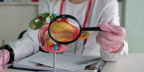 Fotografi Anatomical model of the pancreas, duodenum, and spleen