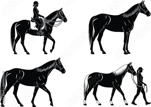 Horse silhouette, rider illustration, black vector, equestrian scene, walking horse, leading reins, animal pose, farm life, horseback activity, rural graphic