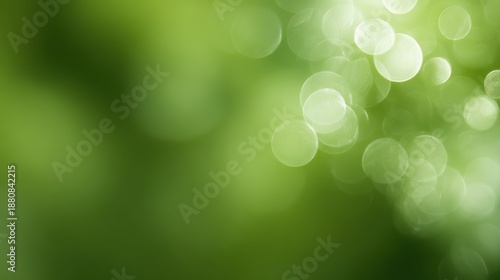 Earth Day background concept with soft bokeh light, abstract blurred green nature texture, fresh eco friendly atmosphere