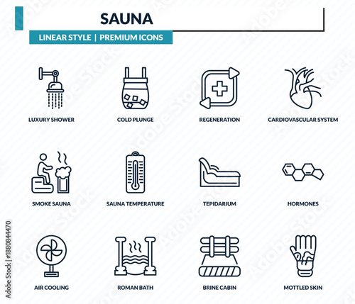 sauna icons set - luxury shower, cold plunge, regeneration, hormones, mottled skin outline vector collection.