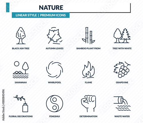 nature icons set - black ash tree, autumn leaves, bamboo plant from japan, grapevine, waste water outline vector collection.